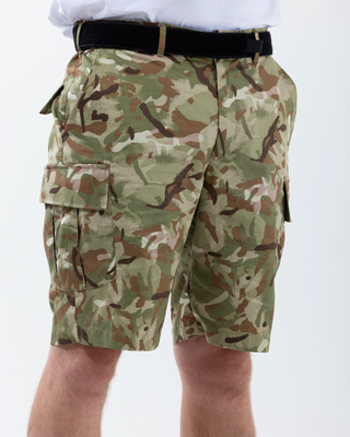 C342 Halton Shorts - Vista 