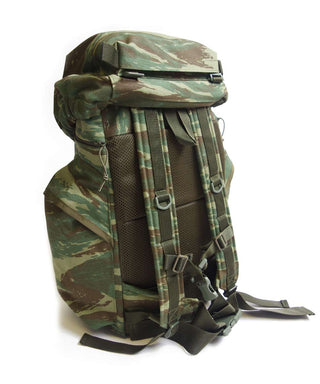 H110 35L Daysack - Greek Lizard