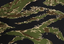 tigerstripe