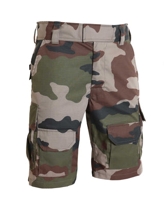 C411 Ranger Shorts - French CE - Arktis